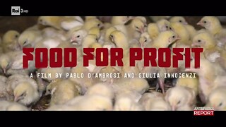 Report. "Food for profit", il lato oscuro della carne - RaiPlay