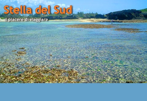 Stella del Sud 2008-2009