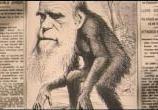 Charles Darwin caricatura@rai