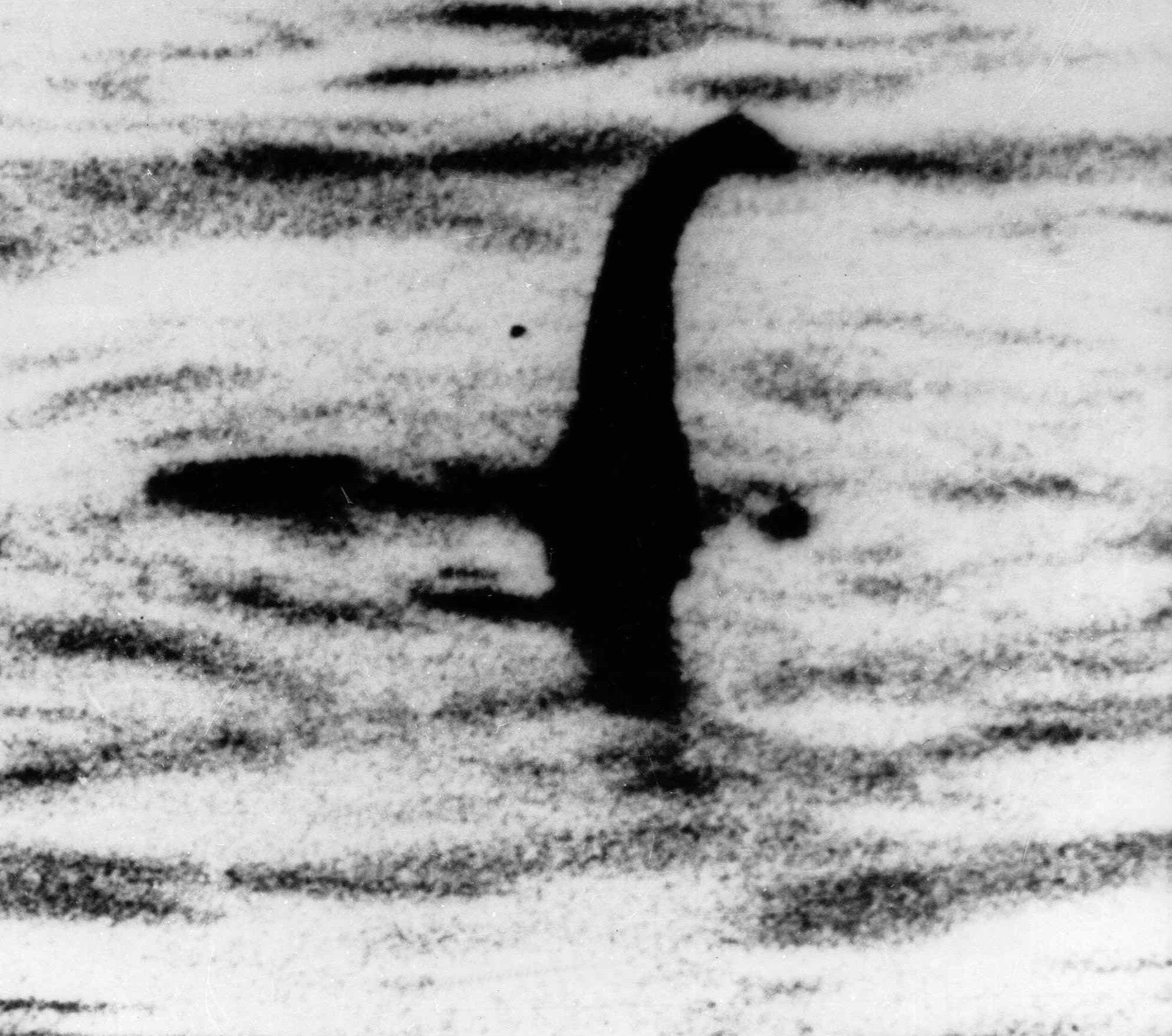 Il mostro di Loch Ness, storia di un avvistamento Photogallery Rai News