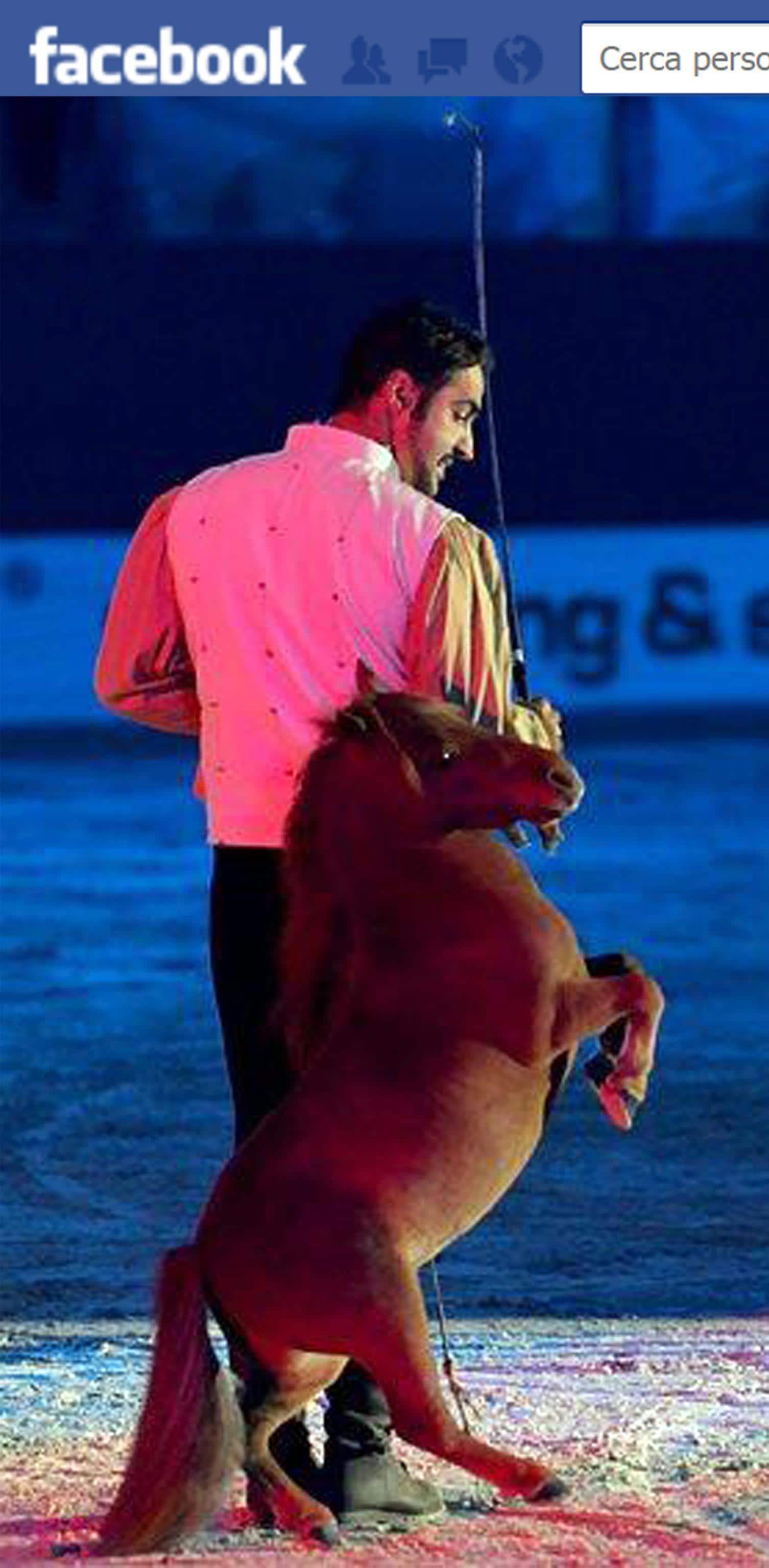 Charlie Il Cavallo Più Piccolo Del Mondo