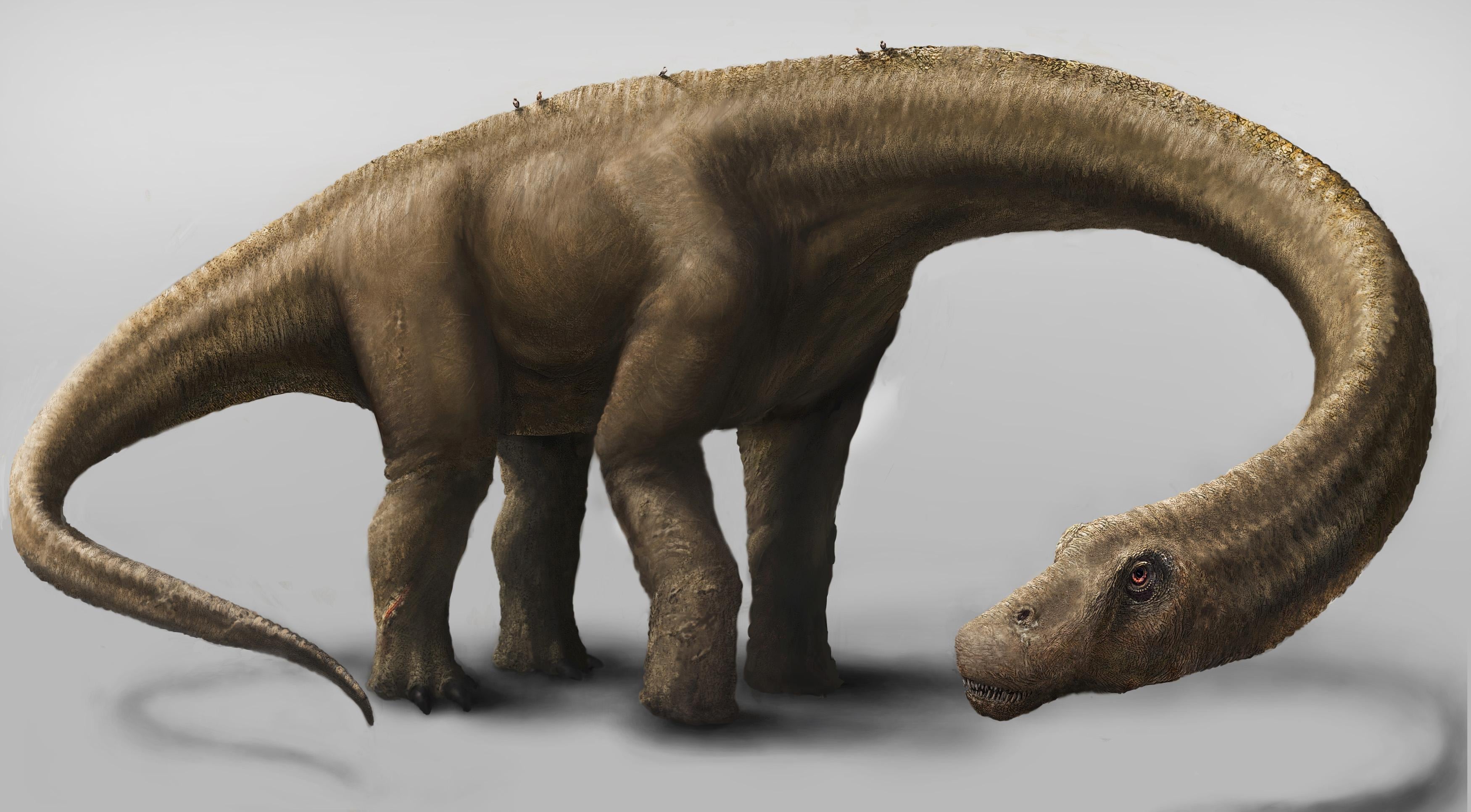Qual è Il Dinosauro Più Forte Del Mondo