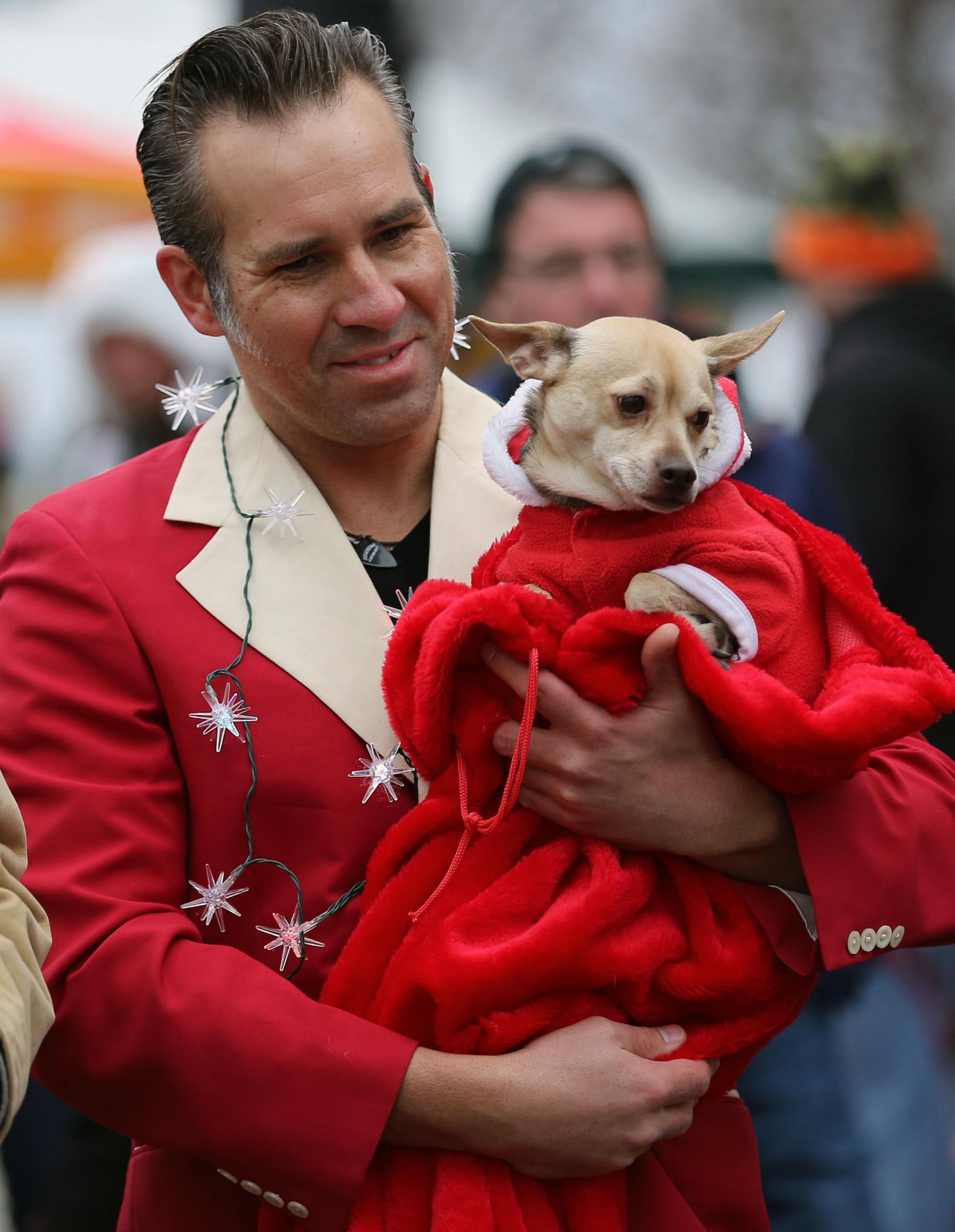 Reindog Parade 2014 La Sfilata Dei Cani Contro La Violenza Sugli 
