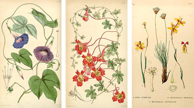 download Arbeitsheft Biochemie,