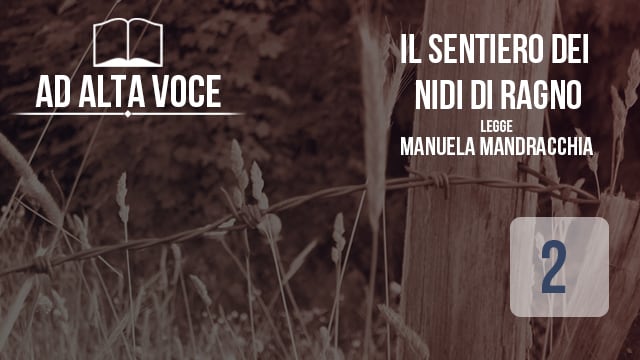 Il Sentiero Dei Nidi Di Ragno Film